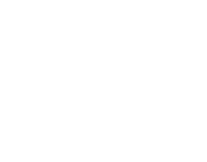 Vinarija Magistra logo